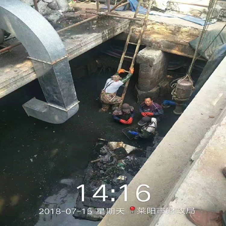 2026上新：评价高的水下清理公司梅州公司排名
