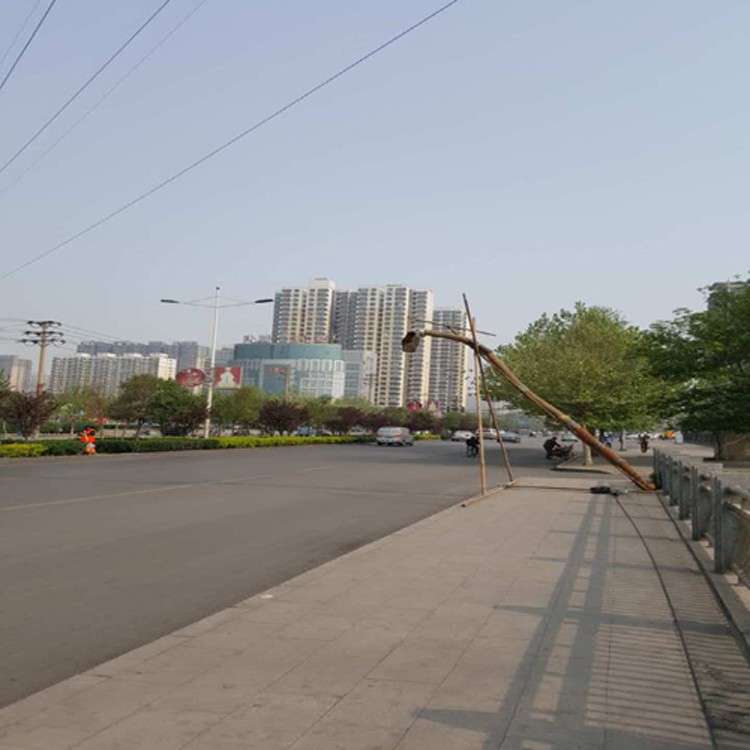 2026甄选：有实力的淤泥脱水公司安阳市厂家热门排名