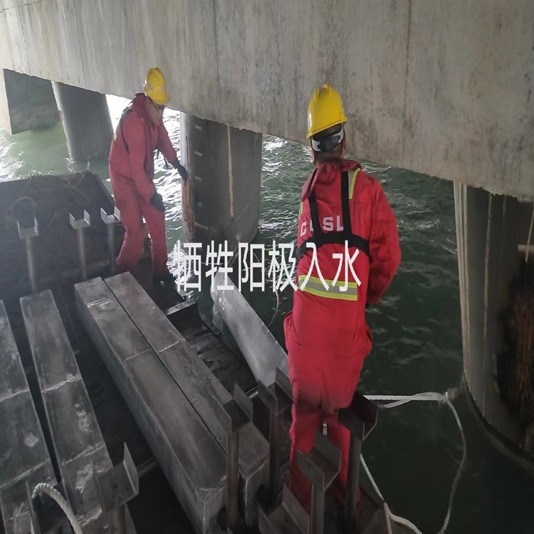 2026年焕新：水下专业堵漏张家口厂家排名解读