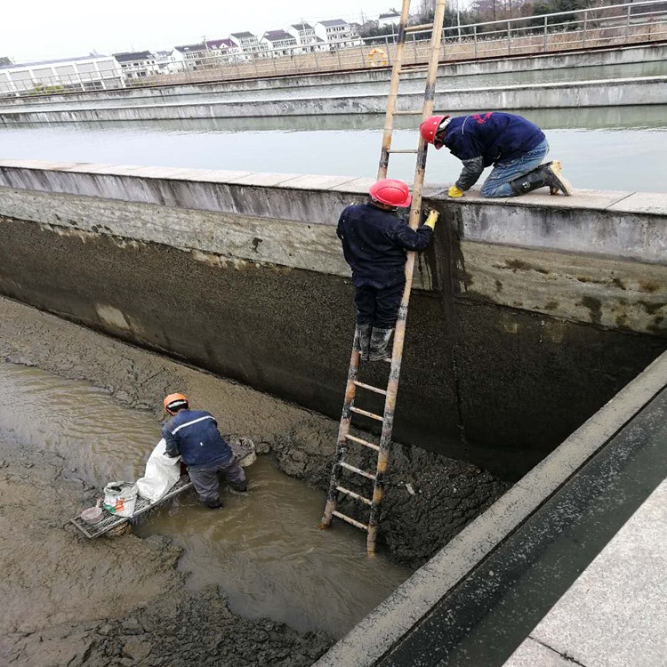 2026年焕新：原位固化公司大连厂家推荐盘点