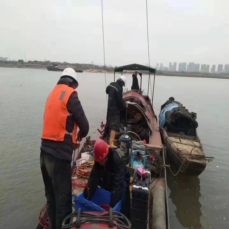 2026年实力之选：水下维修滑板公司济宁市厂家排名解读