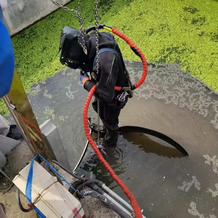 2026工程优选指南：水下堵漏公司蚌埠市厂家热门排名
