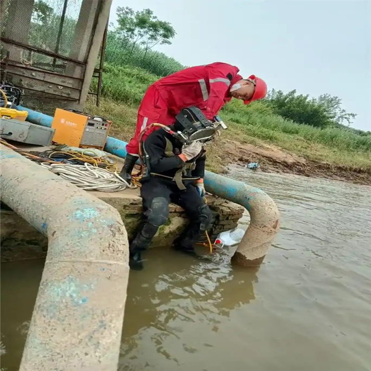2026推荐：水下桥梁检测许昌厂家推荐观察