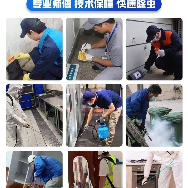 白蚁消杀性价比之选:贵阳云岩区同城灭白蚁公司单