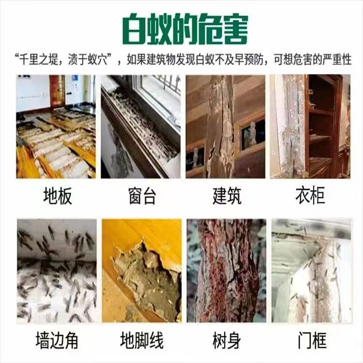 白蚁消杀性价比之选:南昌新建区本地白蚁消杀公司