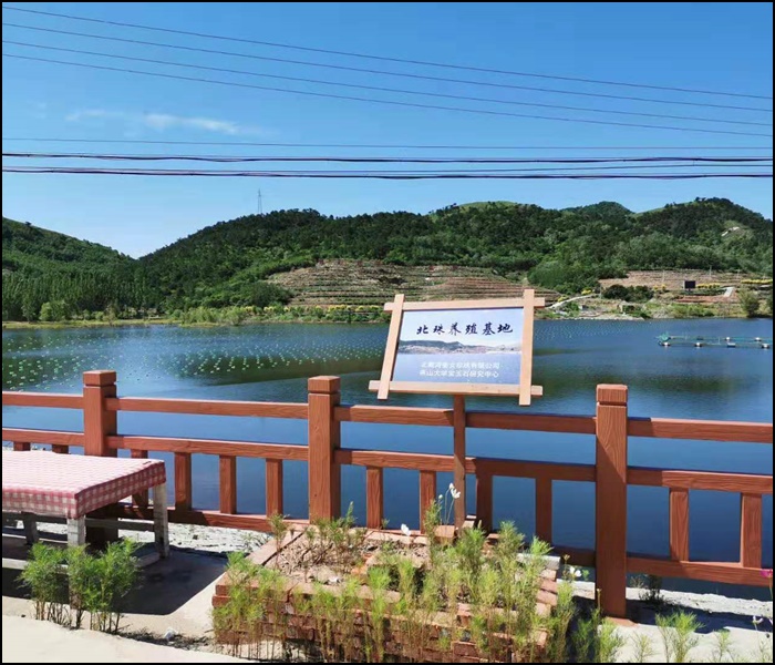 2026指南:秦皇岛珍珠/北戴河特色多少钱