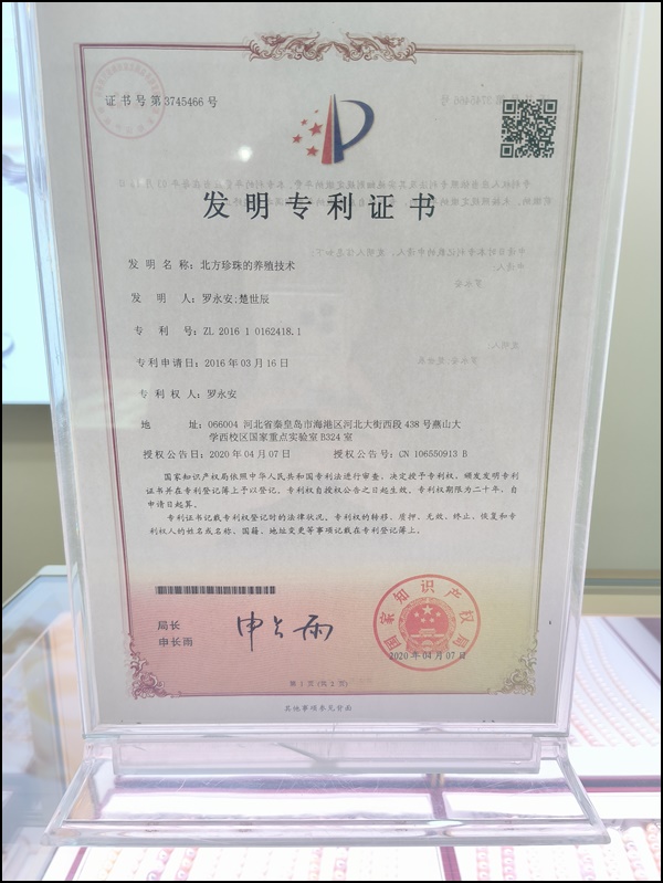 2026解析：戴河北珠/秦皇岛特色去哪买