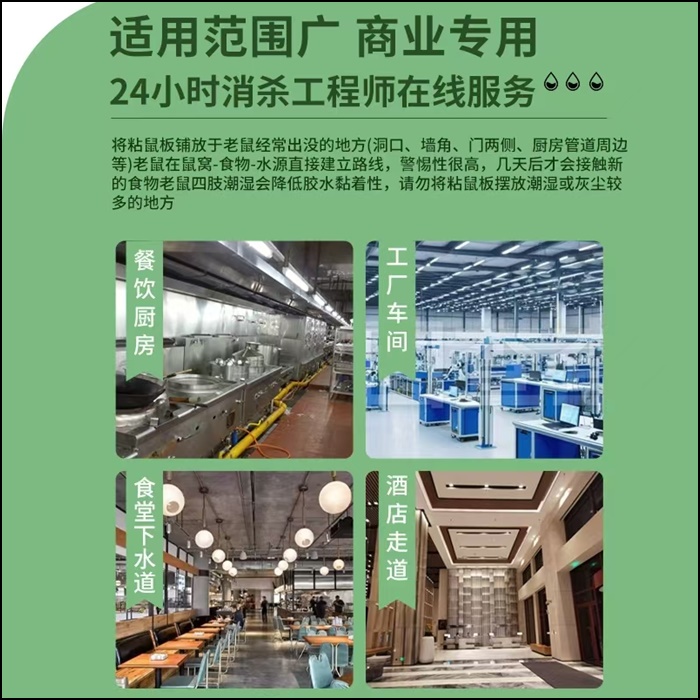 阿拉善盟靠谱的连锁餐饮消杀服务商品牌